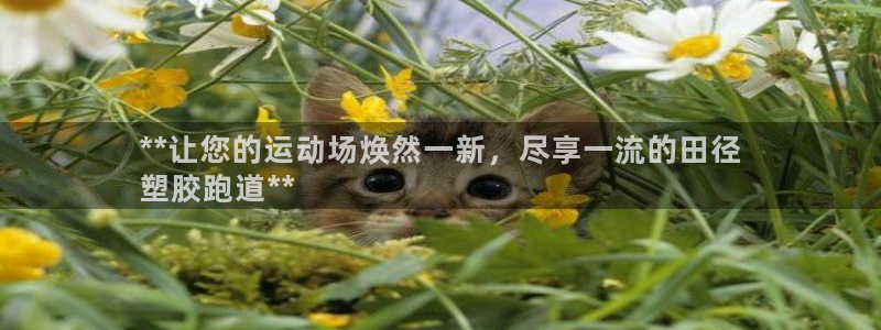 尊龙凯时网娱乐官网：**让您的运动场焕然一新，尽享一流的田径
塑胶跑道**