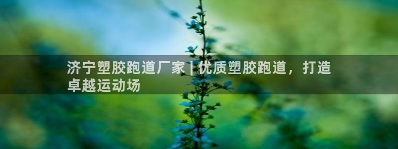 尊龙凯时取款一直支付中