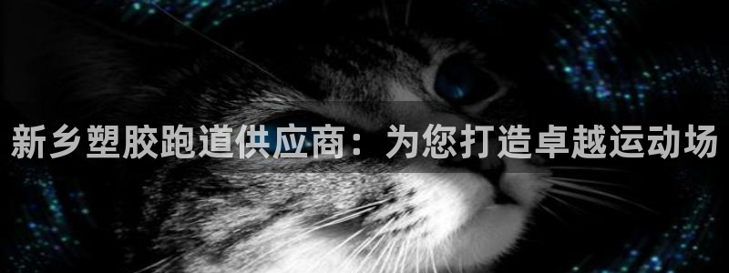 尊龙凯时电竞：新乡塑胶跑道供应商：为您打造卓越运动场