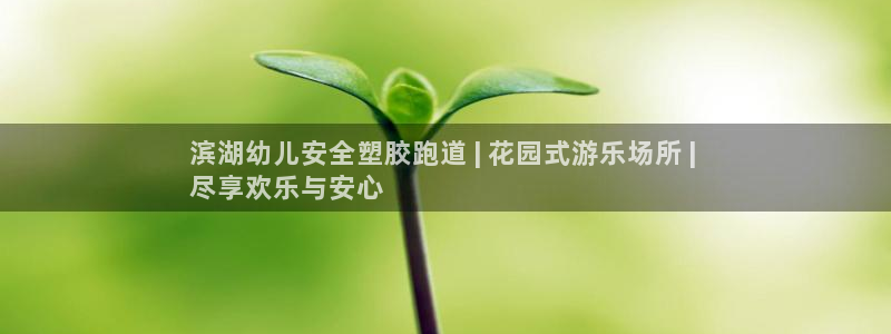 尊龙凯时取钱很慢：滨湖幼儿安全塑胶跑道 | 花园式游乐场所 | 
尽享欢乐与安心