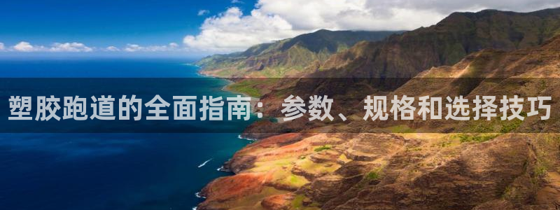 尊龙登录：塑胶跑道的全面指南：参数、规格和选择技巧