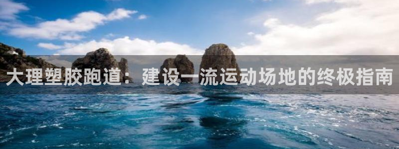尊龙尊龙：大理塑胶跑道：建设一流运动场地的终极指南