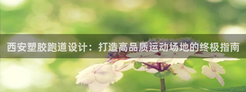 尊龙凯时不给提现怎么办：西安塑胶跑道设计：打造高品质运动场地的终极指南