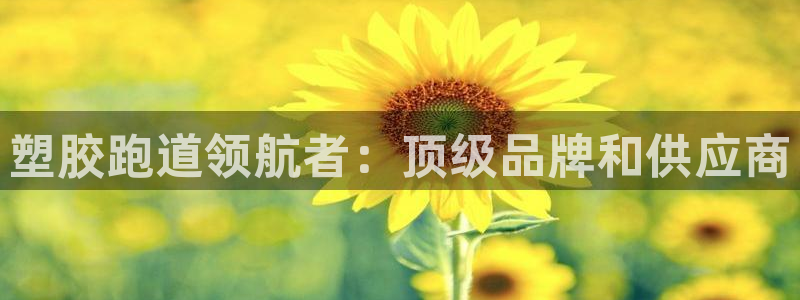 凯时国际app首页登录入口：塑胶跑道领航者：顶级品牌