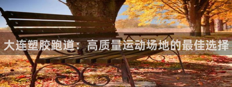 尊龙ag旗舰厅官网·(中国)官方入口：大连塑胶跑道：高质量运动场地的最佳选择