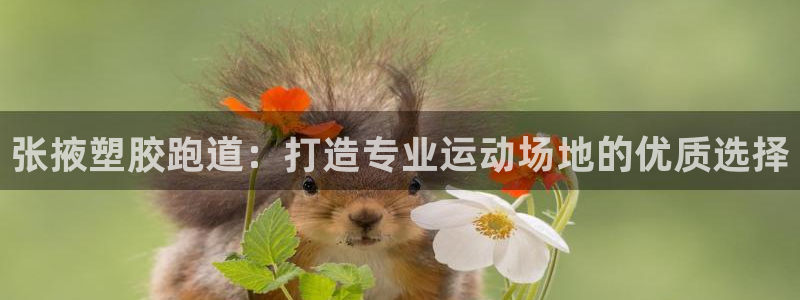 尊龙人生就是博l