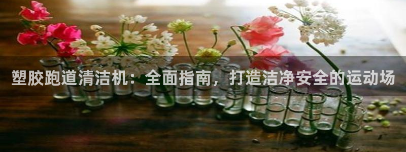 尊龙网站登录：塑胶跑道清洁机：全面指南，打造洁净安全的运动场