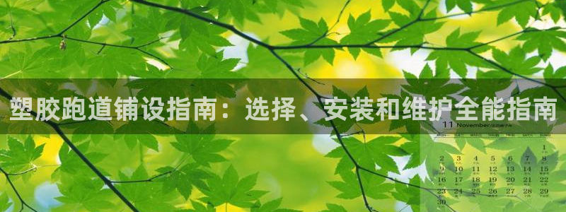 尊龙D88现金旧版：塑胶跑道铺设指南：选择、安装和维护全能指南