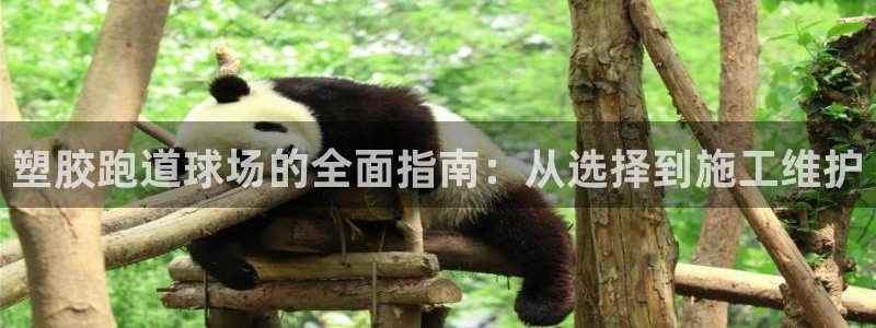 尊龙凯时代理能提出来不
