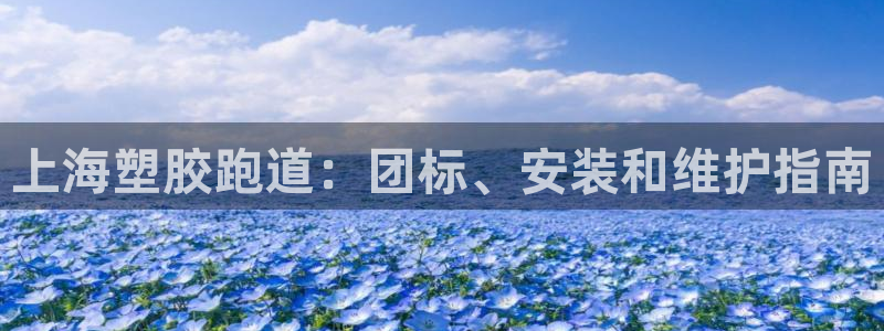 最新凯时官网网址：上海塑胶跑道：团标、安装和维护指南