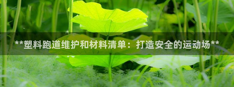 尊龙凯时老板是谁：**塑料跑道维护和材料清单：打造安全的运动场**