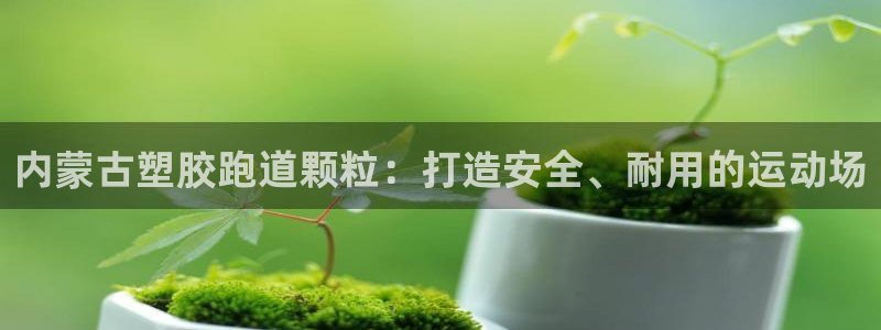 凯时首页登录：内蒙古塑胶跑道颗粒：打造安全、耐用的运动场