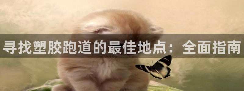 尊龙实业有限公司是正规还是仿：寻找塑胶跑道的最佳地点：全面指南