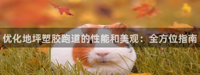 尊龙凯时老板：优化地坪塑胶跑道的性能和美观：全方位指南