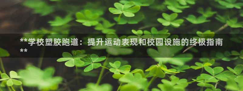 d88尊龙官方网：**学校塑胶跑道：提升运动表现和校