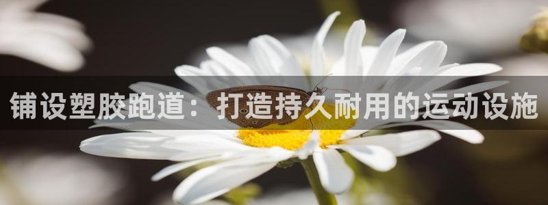 下载尊龙app：铺设塑胶跑道：打造持久耐用的运动设施