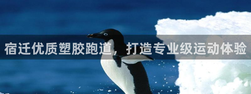 尊龙人生就是博AG：宿迁优质塑胶跑道，打造专业级运动体验