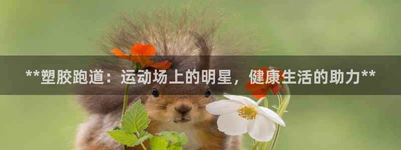 尊龙信息科技有限公司：**塑胶跑道：运动场上的明星，