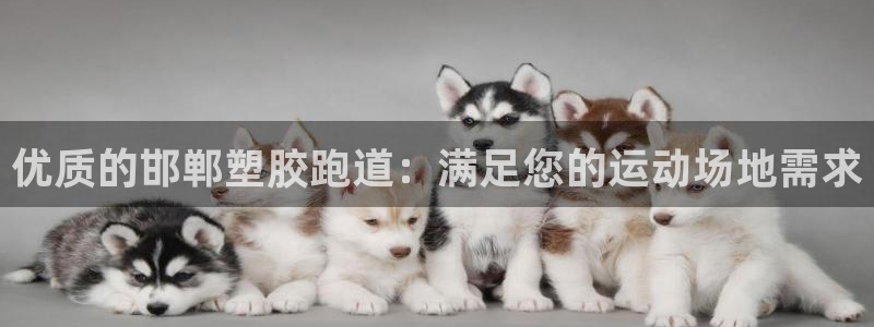 尊龙凯时客服：优质的邯郸塑胶跑道：满足您的运动场地需