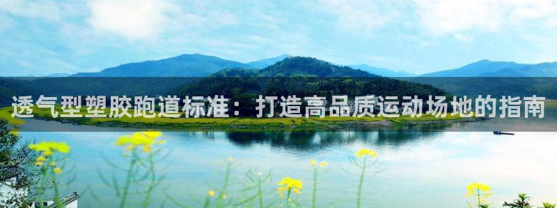 尊龙凯时人生就是博·(中国)：透气型塑胶跑道标准：打造高品质运动场地的指南