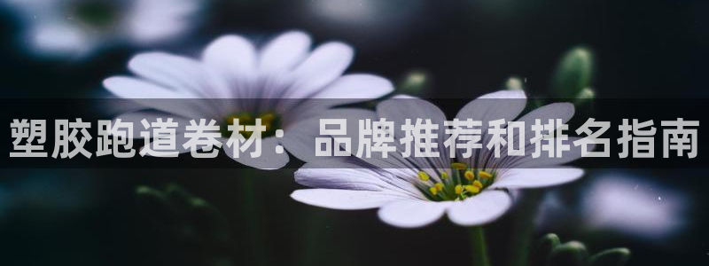 尊龙人生就是博旧版现金娱乐一下