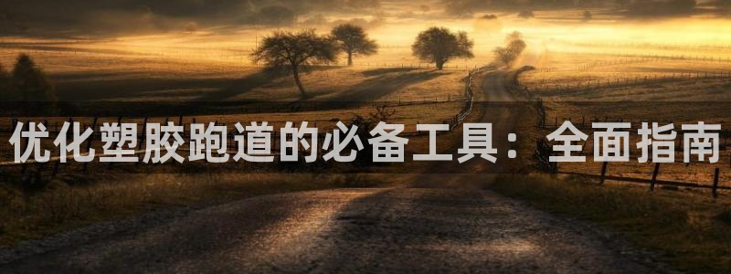 尊龙目前情况：优化塑胶跑道的必备工具：全面指南
