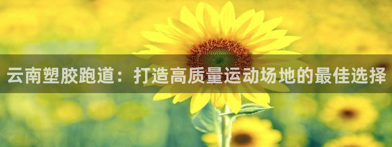 尊龙凯时·中国官方网站