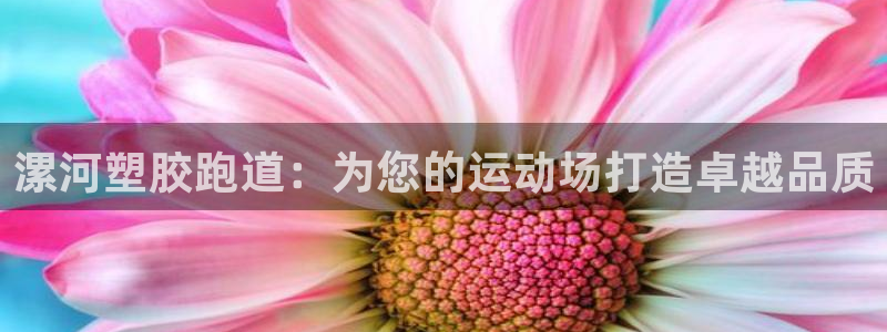 凯时游戏app：漯河塑胶跑道：为您的运动场打造卓越品质