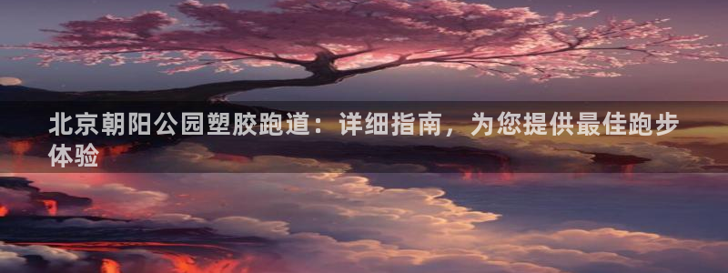 Ag尊龙平台：北京朝阳公园塑胶跑道：详细指南，为您提供最佳跑步
体验