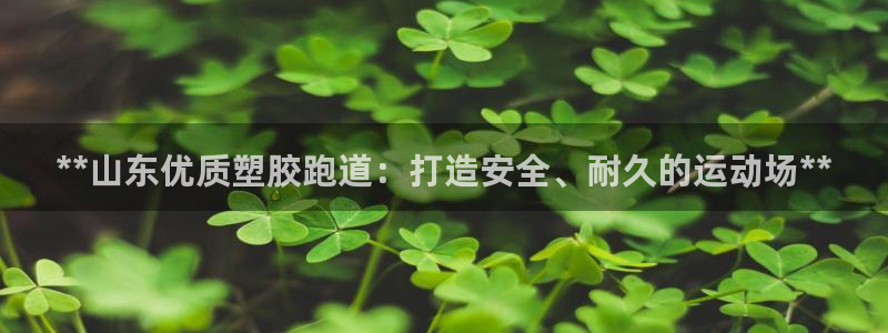 Z6尊龙老版：**山东优质塑胶跑道：打造安全、耐久的运动场**