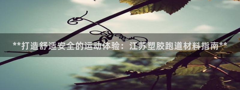 尊龙凯时白家乐：**打造舒适安全的运动体验：江苏塑胶跑道材料指南**