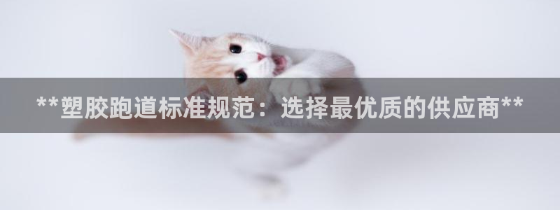 尊龙app认可ag发财网：**塑胶跑道标准规范：选择最优质的供应商**