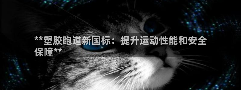 尊龙凯时-人生就是博中国官网首页：**塑胶跑道新国标：提升运动性能和安全
保障**