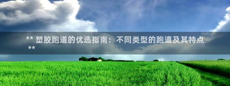 尊龙凯时人生就是搏官方网站：** 塑胶跑道的优选指南：不同类型的跑道及其特点
 **