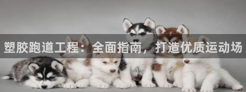 尊龙现金d88：塑胶跑道工程：全面指南，打造优质运动