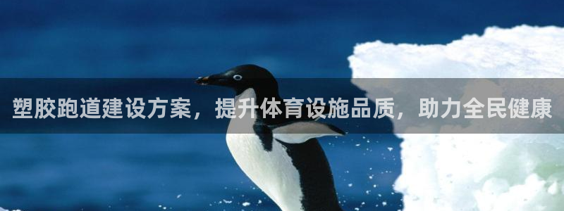 尊龙凯时人生就是博官网登录：塑胶跑道建设方案，提升体育设施品质，助力全民健康