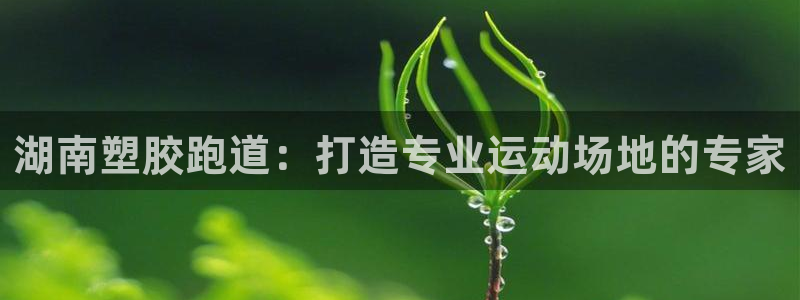 d88尊龙平台开户：湖南塑胶跑道：打造专业运动场地的