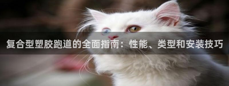 尊龙娱官网赢来就送38：复合型塑胶跑道的全面指南：性能、类型和安装技巧