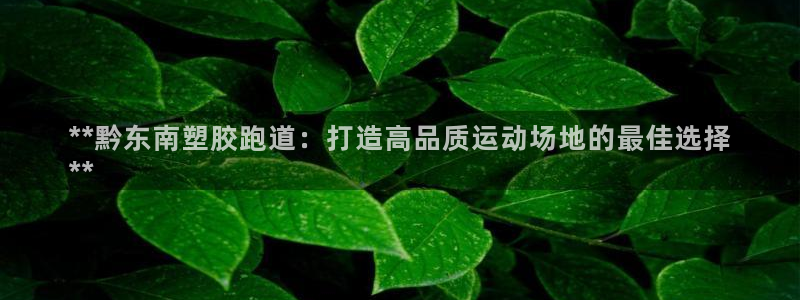 尊龙凯时官网正规吗：**黔东南塑胶跑道：打造高品质运
