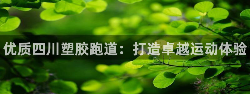 尊龙凯时 人生就是搏 平台：优质四川塑胶跑道：打造卓