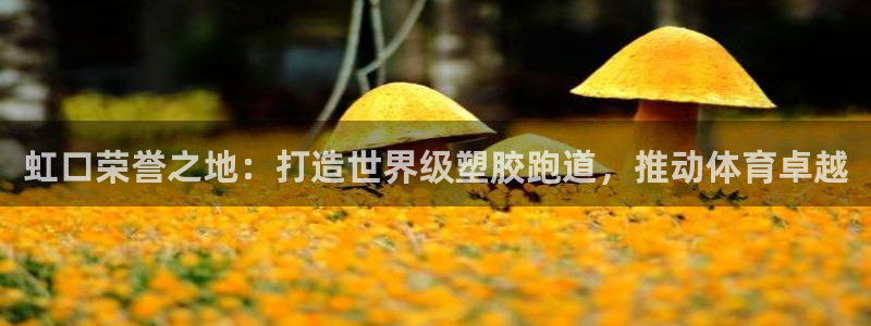 尊龙客服：虹口荣誉之地：打造世界级塑胶跑道，推动体育