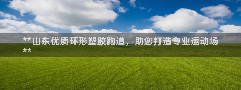 尊龙长相评价：**山东优质环形塑胶跑道，助您打造专业