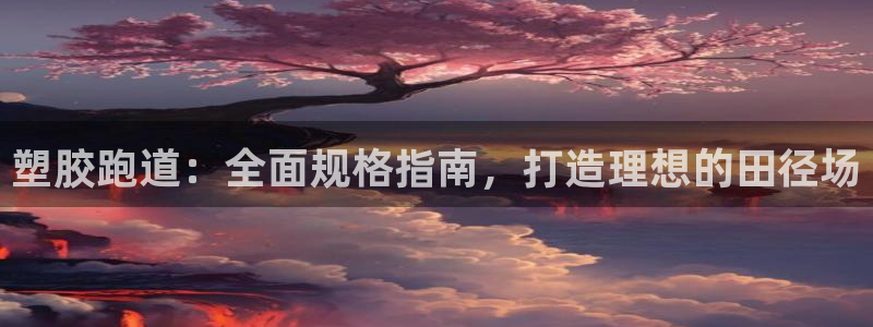尊龙人生就要博旧版：塑胶跑道：全面规格指南，打造理想