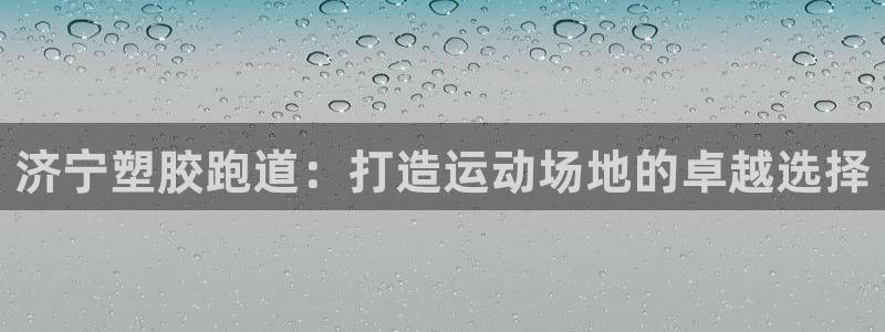 ZL尊龙凯时集团：济宁塑胶跑道：打造运动场地的卓越选