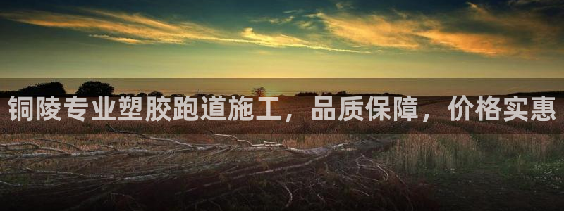 尊龙凯时人生就是搏 品牌专区：铜陵专业塑胶跑道施工，