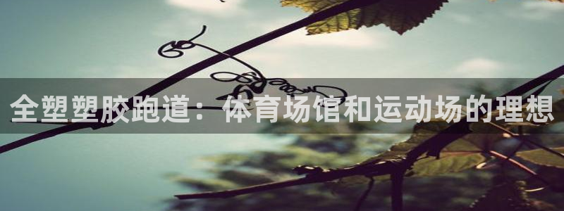 尊龙网址是多少：全塑塑胶跑道：体育场馆和运动场的理想