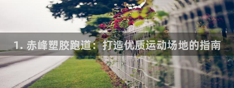 尊龙凯时平台入口：1. 赤峰塑胶跑道：打造优质运动场地的指南