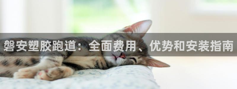 尊龙娱官网赢来就送38：磐安塑胶跑道：全面费用、优势和安装指南