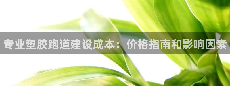 尊龙凯时企业文化：专业塑胶跑道建设成本：价格指南和影