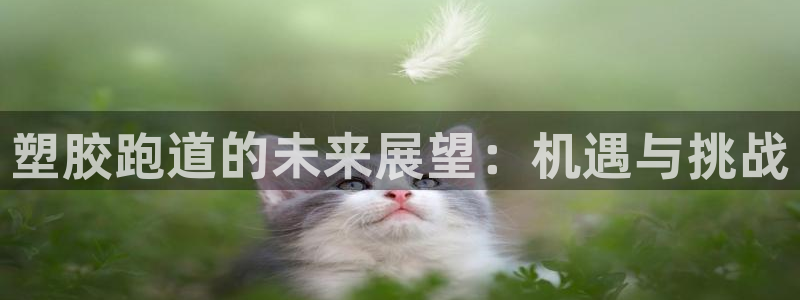 尊龙d88官网登录：塑胶跑道的未来展望：机遇与挑战